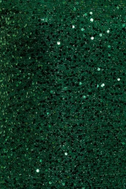 YOURS LONDON - Shift-jurk Met Pailletten & Korte Mouwen In Groen 11 YOURS LONDON - Shift-jurk Met Pailletten & Korte Mouwen In Groen -NAOMI Kleding Winkel d48026b0 221b 40 161716 Z