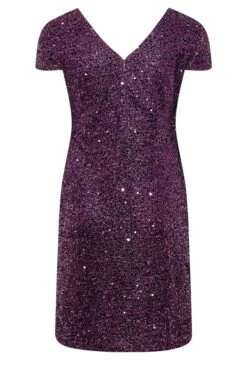 YOURS LONDON - Shift-jurk Met Pailletten & Korte Mouwen In Paars 13 YOURS LONDON - Shift-jurk Met Pailletten & Korte Mouwen In Paars -NAOMI Kleding Winkel f70c5d40 4ab1 4b 161714 Y
